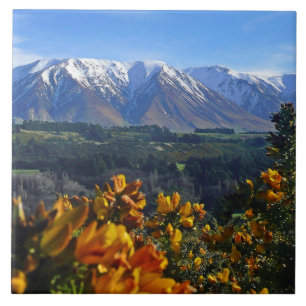 Beautiful New Zealand Tile
