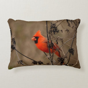 Beautiful Northern Cardinal  Accent Pillow