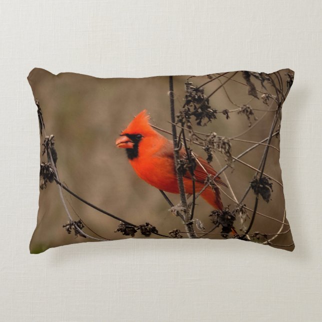 Beautiful Northern Cardinal  Accent Pillow (Front)
