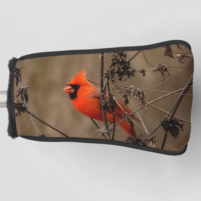 Beautiful Northern Cardinal Golf Head Cover (Front)