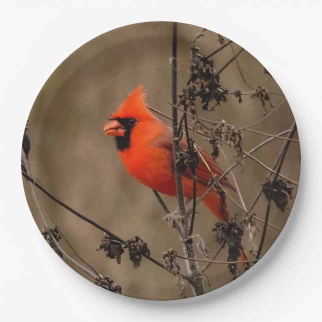Beautiful Northern Cardinal  Paper Plate (Front)