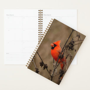 Beautiful Northern Cardinal Planner