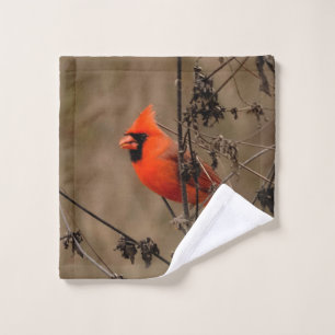 Beautiful Northern Cardinal  Wash Cloth