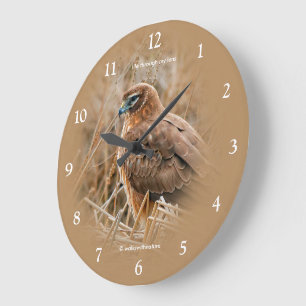 Beautiful Northern Harrier Hawk in the Marsh Large Clock