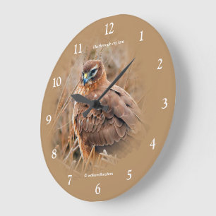 Beautiful Northern Harrier Hawk in the Marsh Large Clock