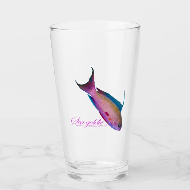 Beautiful nuptial colouring for the Sea goldy Glass (Front)
