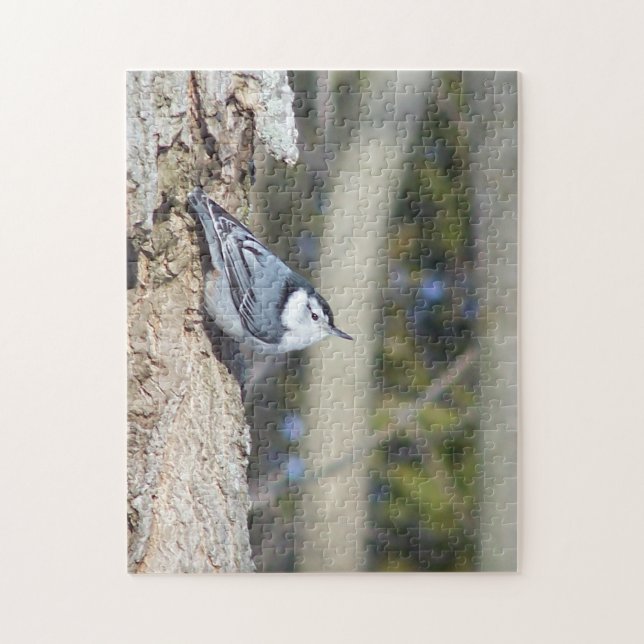Beautiful Nuthatch Puzzle (Vertical)
