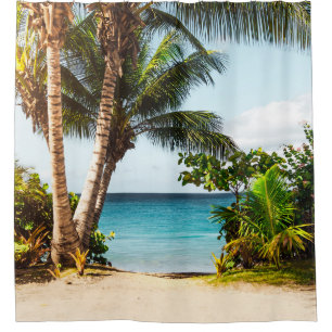 Beautiful Ocean Creatures