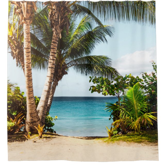 Beautiful Ocean Creatures (Front)