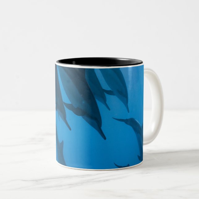 Beautiful Ocean Creatures Two-Tone Coffee Mug (Front Right)