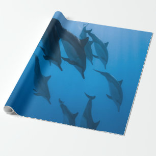 Beautiful Ocean Creatures Wrapping Paper