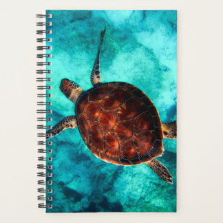 Beautiful-Ocean Swimming Large-Brown Turtle Planner