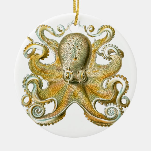 Beautiful octopus picture by Haeckel Ceramic Ornament (Front)