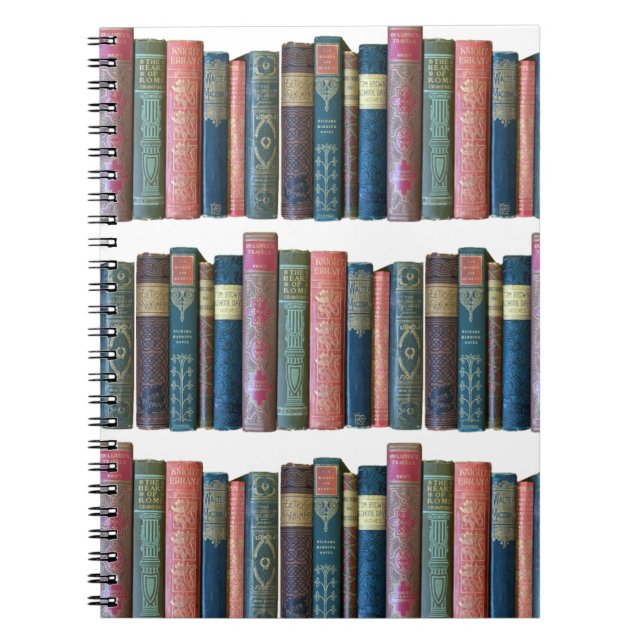 Beautiful old vintage books, book spines (Front)