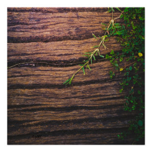 beautiful old wood poster