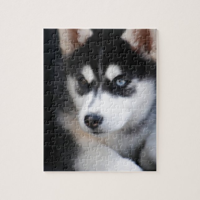 Beautiful One Blue Eye Siberian Husky 2 Jigsaw Puzzle (Vertical)