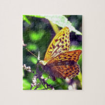 Beautiful Orange and Black Spotted Butterfly