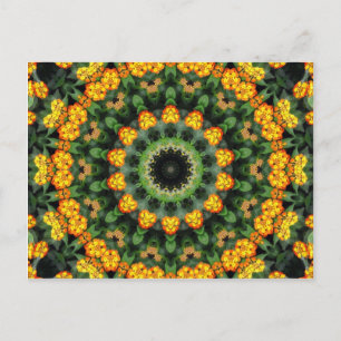Beautiful Orange and Yellow Lantana Kaleidoscope 2 Postcard