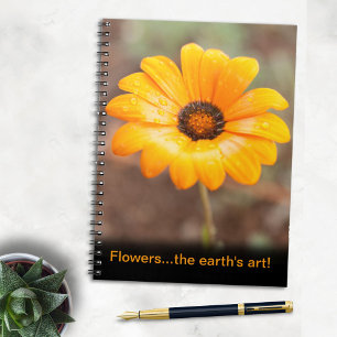 Beautiful Orange Daisy Flower The Earth's Art Notebook