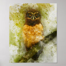 beautiful orange eyes owl bird watercolor painting