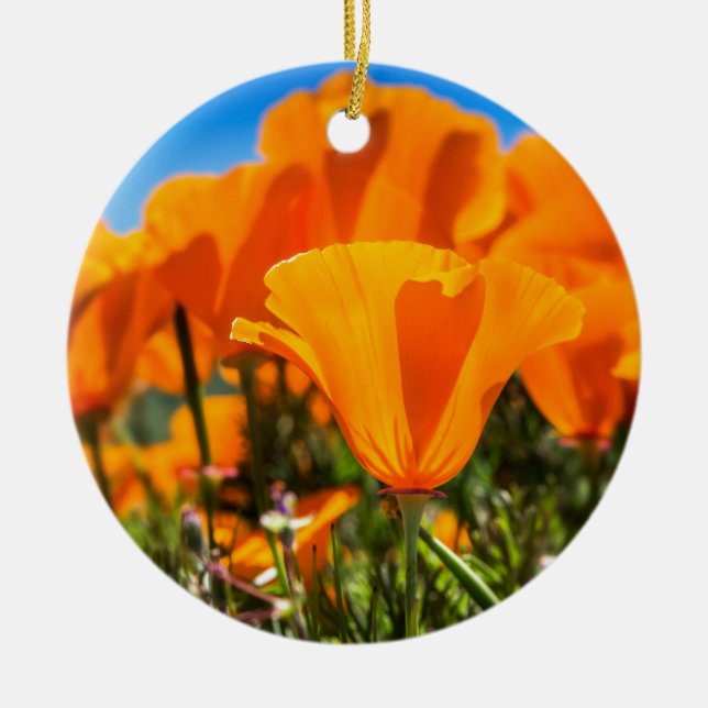 Beautiful Orange Poppy Flowers in a Field Ceramic Ornament (Front)