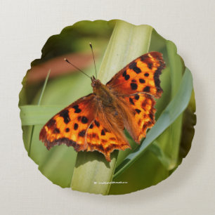 Beautiful Orange Satyr Comma Butterfly Round Pillow