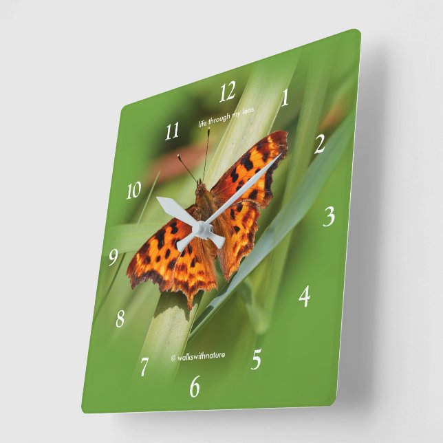 Beautiful Orange Satyr Comma Butterfly Square Wall Clock (Angle)