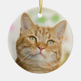 Beautiful Orange Tabby Cat Close Up Ceramic Ornament
