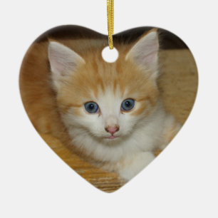 Beautiful Orange Tabby Kitten Ceramic Ornament