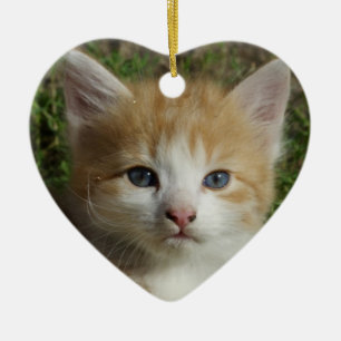 Beautiful Orange Tabby Kitten Ceramic Ornament