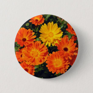 Beautiful orange zinnia flower garden 2 inch round button