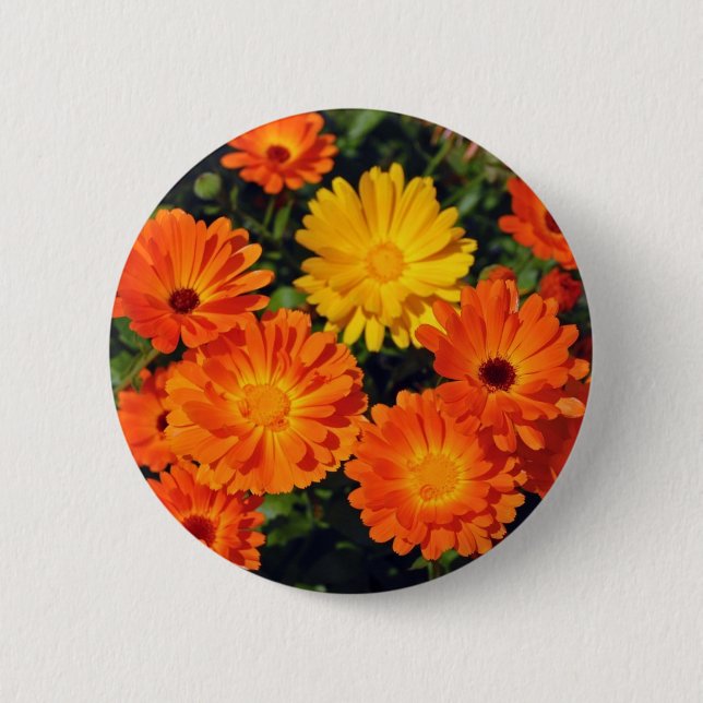 Beautiful orange zinnia flower garden 2 inch round button (Front)