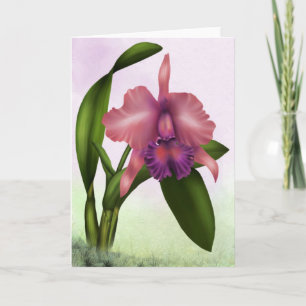 Beautiful Orchid Greeting Card