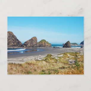 Beautiful Oregon coast landscape    Postcard