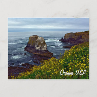 Beautiful Oregon coastline Postcard
