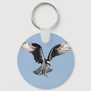 Beautiful Osprey bird Searching for prey Keychain