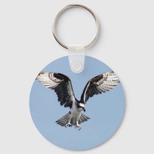 Beautiful Osprey bird Searching for prey Keychain (Front)
