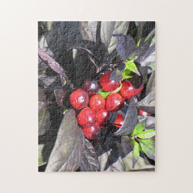 Beautiful Outdoor Scenery Puzzle (Vertical)