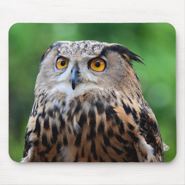Beautiful Owl Mouse Pad (Front)