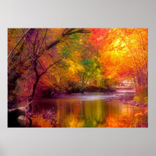 Beautiful Ozarks Poster