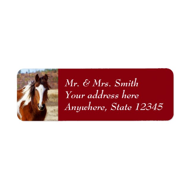 Beautiful Paint Horse Return Address Labels (Front)