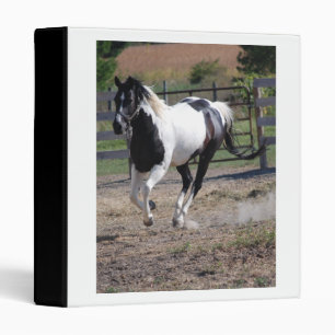 Beautiful Paint Pinto Horse Binder