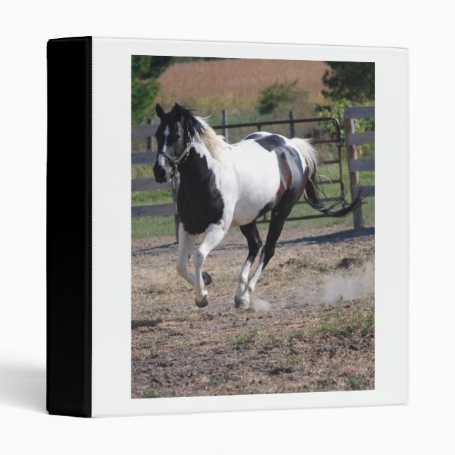 Beautiful Paint Pinto Horse Binder (Front/Spine)