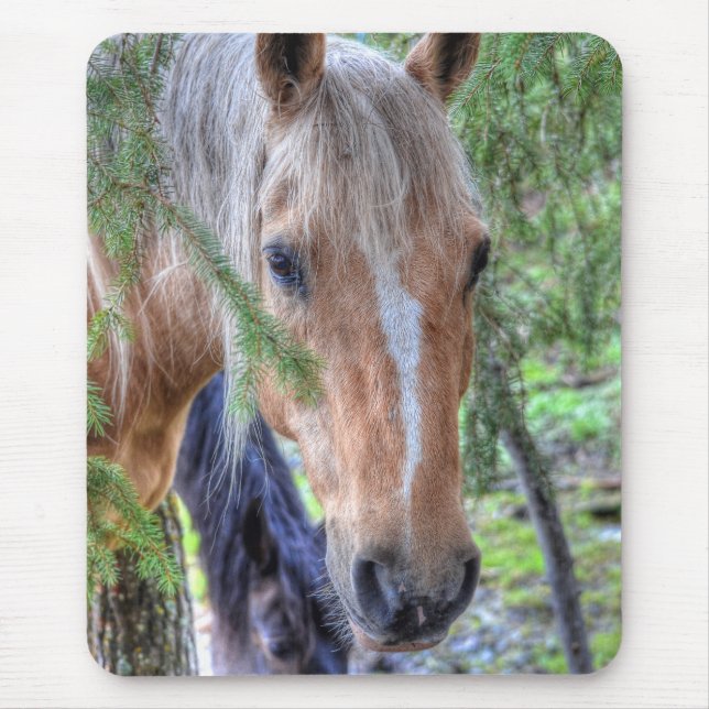 Beautiful Palomino Paint Horse & Branches in Rain Mouse Pad (Front)