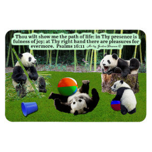 Beautiful Panda Scripture Magnet  Psalms 16:11