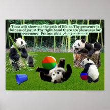Beautiful Panda Scripture Poster  Psalms 16:11