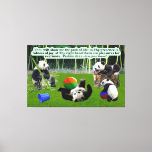 Beautiful Panda Scripture: Psalms 16:11  Canvas Print