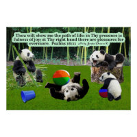 Beautiful Panda Scripture Psalms 16:11: Glossy