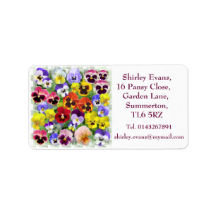 Beautiful Pansy Display Label