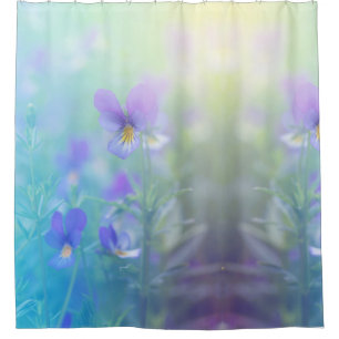 Beautiful Pansy  Garden Flowers Floral 